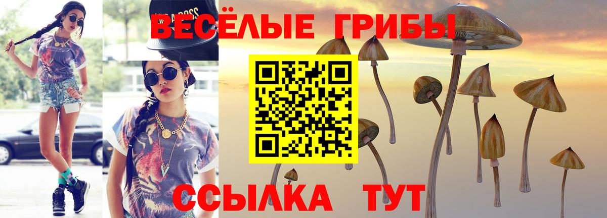 Краснотурьинск  Галлюциногенные грибы Cubensis  Вход с VPN  Псилоцибиновые грибы GOLDEN TEACHER 