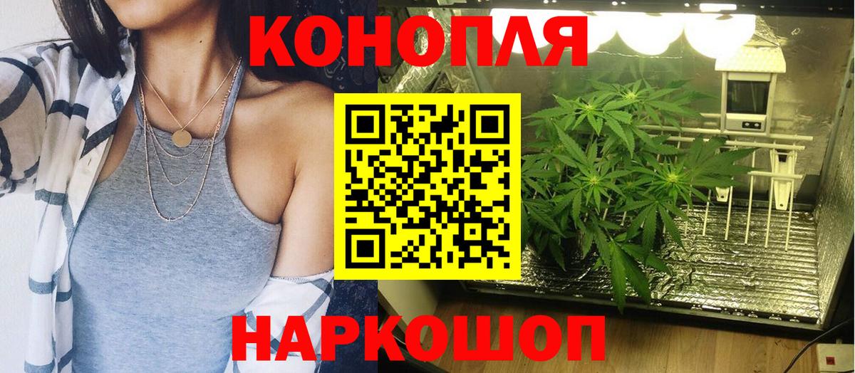 Бошки марихуана White Widow  Вход с VPN  Конопля сатива  Краснотурьинск 